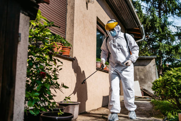 Best Cockroach Control Services  in Allendale, SC