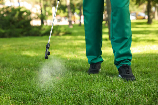 Best Emergency Pest Control  in Allendale, SC